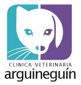 Clínica Veterinaria Arguineguín