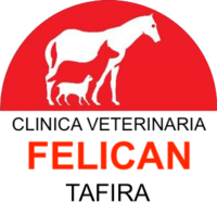 Clínica Veterinaria Felicán Tafira